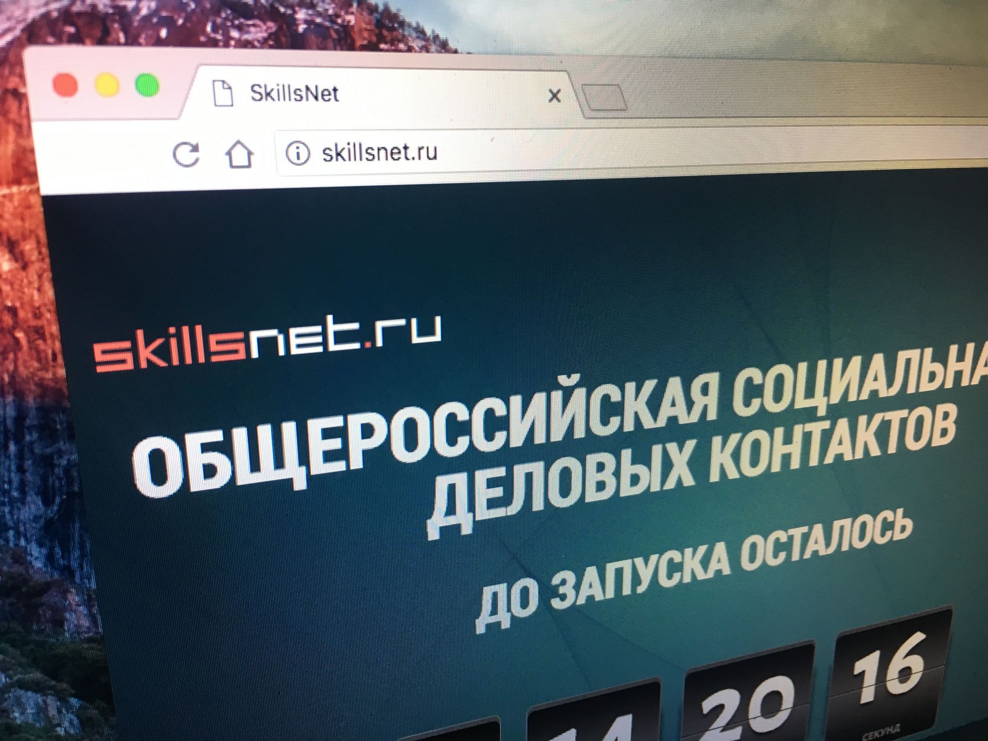 О возможностях Общероссийской социальной сети деловых контактов Skillsnet